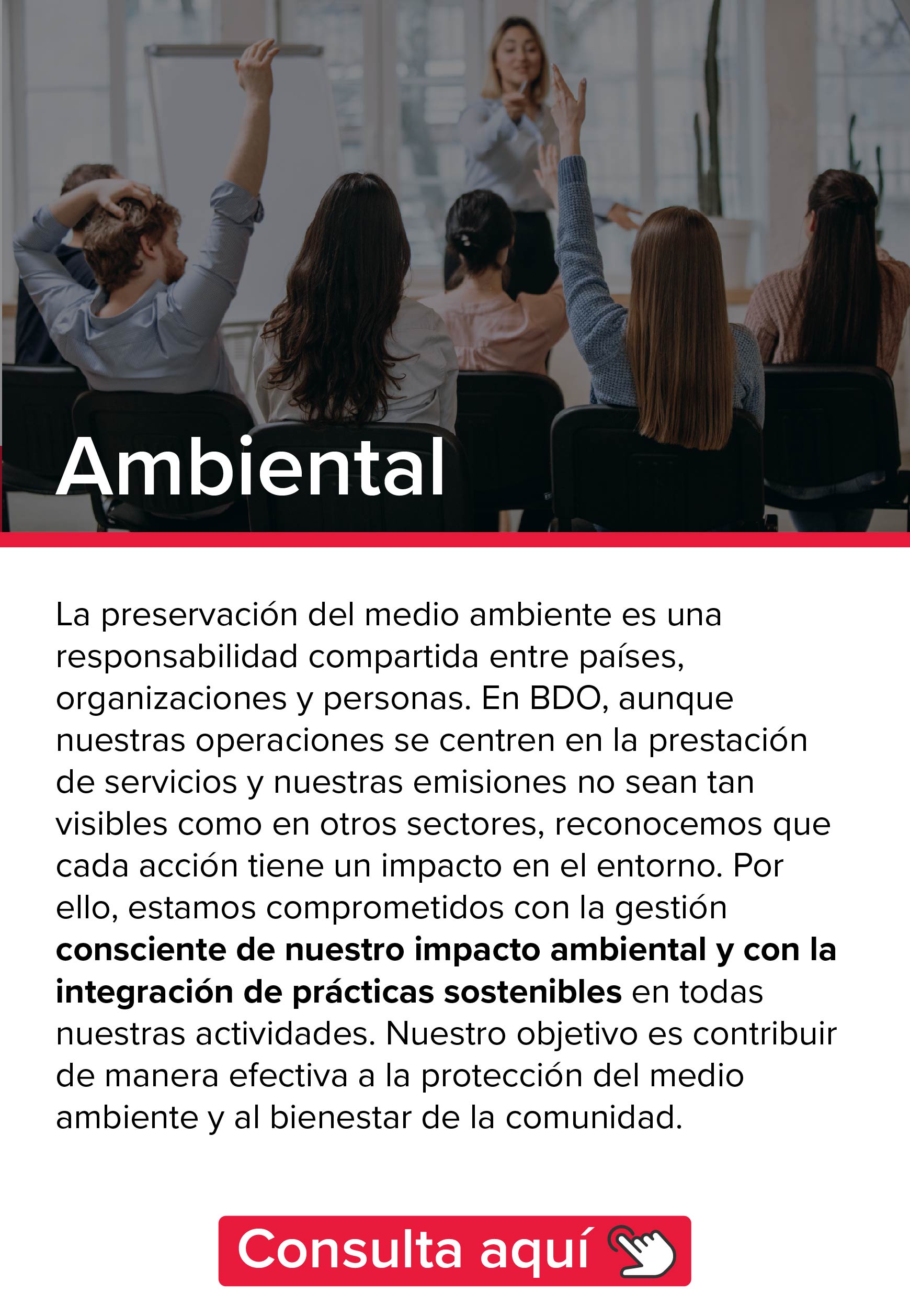 Ambiental BDO