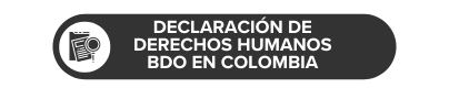 Declaración de derechos humanos BDO