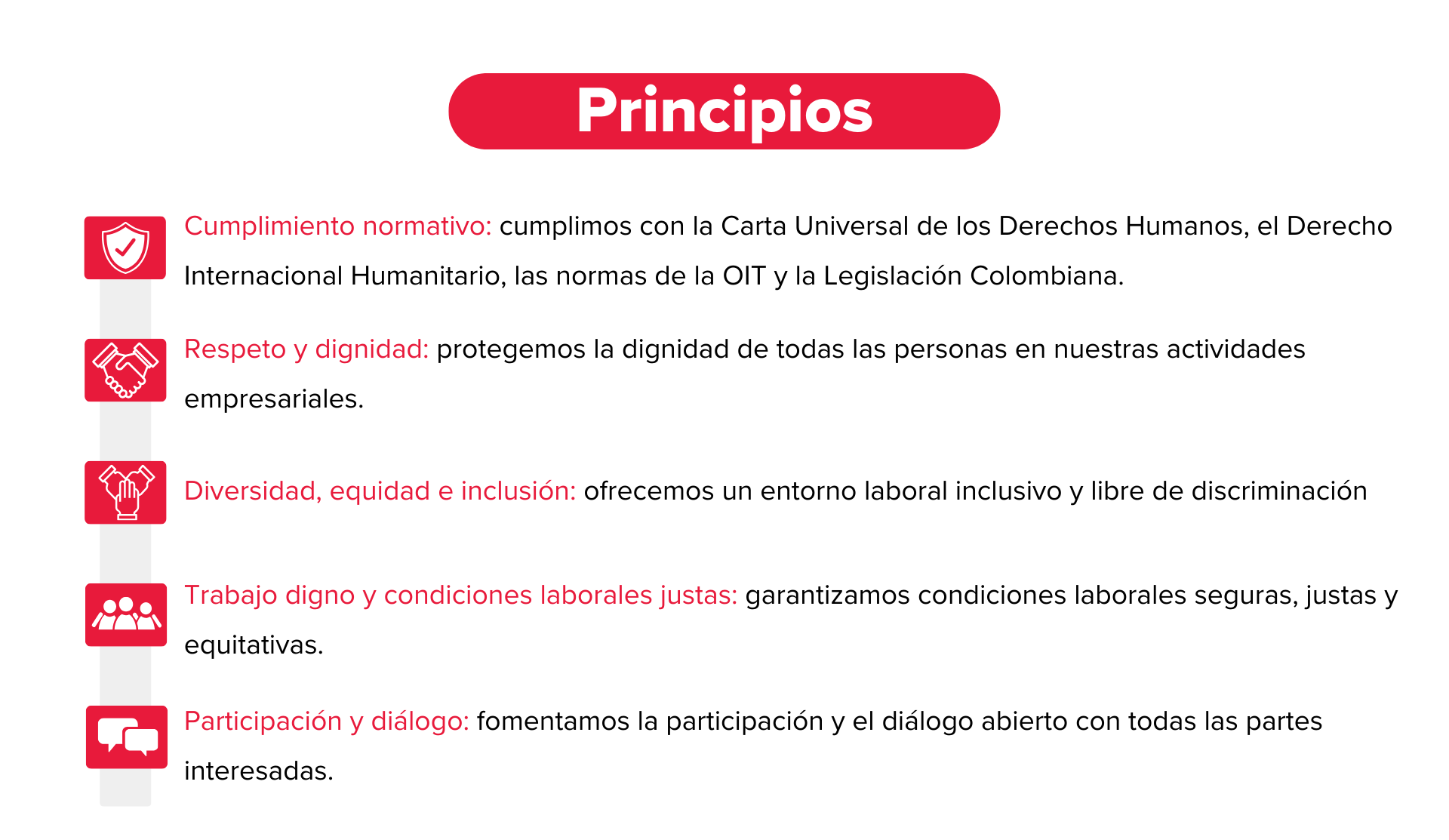 Principios derechos humanos BDO